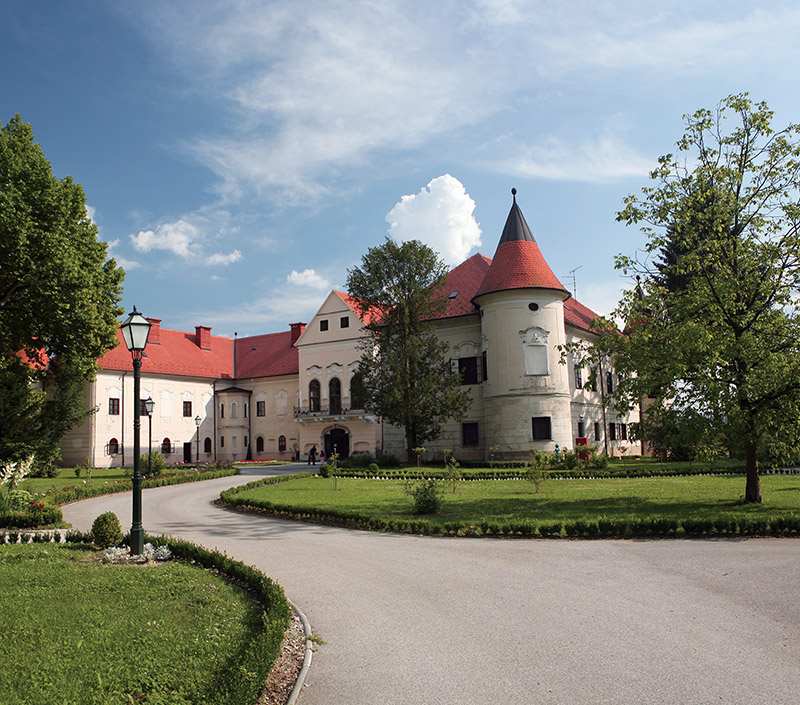 TZ-Zapresic-Dvorac-Luznica-cover